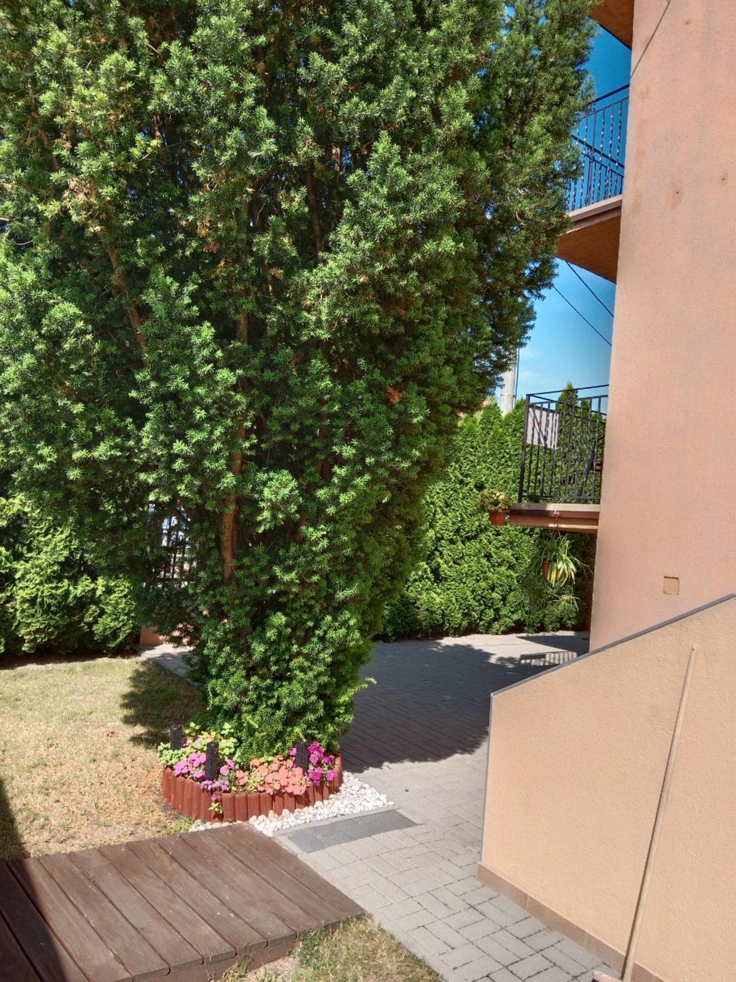 Pokoje Goscinne Sloneczko Kąty Rybackie Extérieur photo